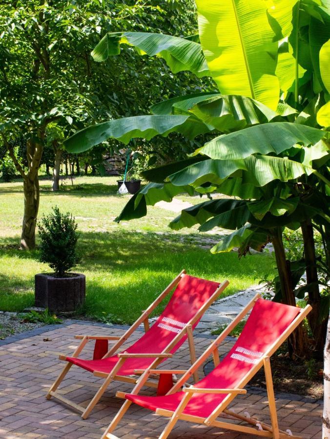 Salus Spreewald - Erholung & Natur - Kolonie  Eksteriør billede
