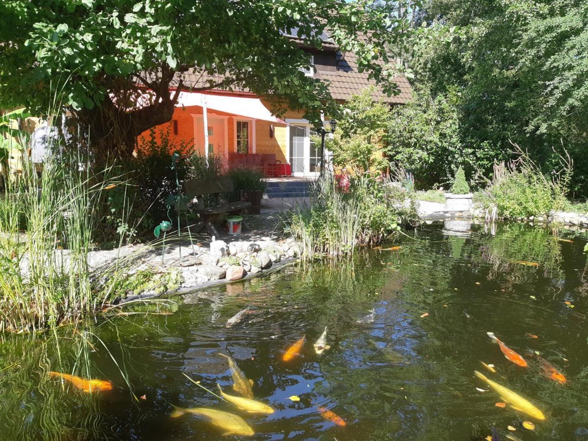 Salus Spreewald - Erholung & Natur - Kolonie  Eksteriør billede